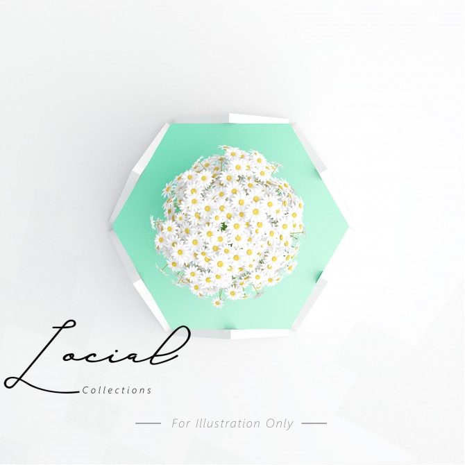 Custom Made Catalogue - Locial Collection