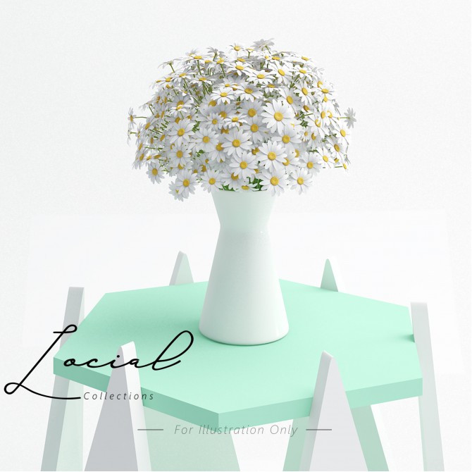Custom Made Catalogue - Locial Collection